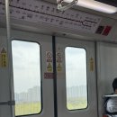 F1 | 2026 f1 그랑프리 상하이 직관 후기 직관 꿀팁