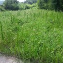 송도로공인중개사사무소 이미지