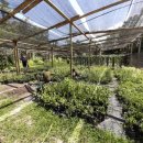 머물농장 이미지