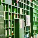 두 번째 연주회 이미지