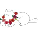 고고펫 이미지