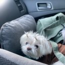 한결동물병원 이미지