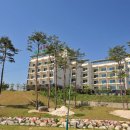 가족소풍펜션 이미지