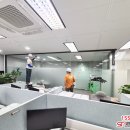 트리서비스 | 공유오피스 이사 잘하는 곳 서비스트리 후기