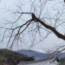 예일세탁소 이미지