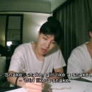 태태만물
