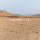도양읍 천마로 티스토리