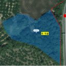 신풍리 사무소 이미지