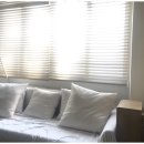 푸른상회 이미지