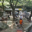 숲속의헬스 이미지