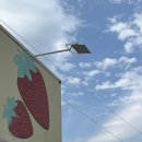 딸기슈퍼 - 영등포구 | 경산 신상 카페 <딸기수퍼> 벌써 세 번이나 다녀온 후기 🍓‼️