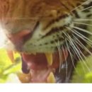 장수호텔목욕탕 이미지