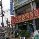 포항농약종묘사 이미지