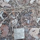 남산(서천분교)초등학교 이미지