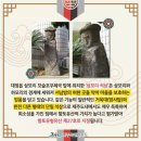 상모리 석상 이미지