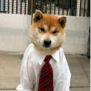 웃으면복이와요 이미지