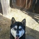 별똥별 채집소 이미지