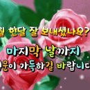 5월의 마지막 날 이미지