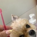 살롱드 베베 이미지