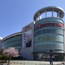 쿨펫동물병원 구미점 | 롯데마트 구미점 구미 신평동 롯데마트 영업시간 휴무일 오시는길 주차정보 내비게이션주소 층별안내...