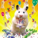 딱좋은밤 | 송리단길놀거리 추천｜잠실생일파티 하기 좋은 열두밤사진관 버쓰데이유 후기