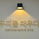 [노원두피탈모관리] 블래스유 SMP 창동 두피관리 후기