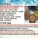 계피가루판매(당조절 수족냉증) 이미지