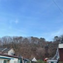 강촌커플가족세이셀펜션 | 여름엔 수영장, 겨울엔 스키장❄️ 강촌펜션 세이셀펜션 완전 추천!