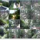 홀뫼농장 이미지