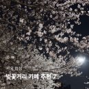 휴고살롱 | 서울 합정 벚꽃거리 근처 카페추천