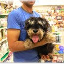 펫토이동물병원 이미지