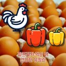 🍉 흑수박 행사‼️ 🌽 애플초당옥수수 🍈찐~한 메로나맛‼️ 하니원메론‼️ 🍑 신비복숭아/ 자두 🥭 태국 골드망고 🍋 성주 용 이미지