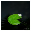 기초 사진 강좌 이미지