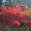 물레방아길 이미지