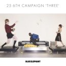 명동이태리안경 | 젠틀몬스터 vs 블루엘리펀트 소송 승자는?… 무탠다드 출시 예고