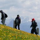 같이삽시다 이미지