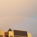 무지개 행정사 사무소 이미지