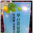 부산경남화훼원예농업협동조합