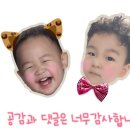 하오방 이미지