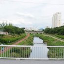 모산골 어린이공원 앞 이미지