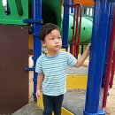 솔숲유원지 이미지