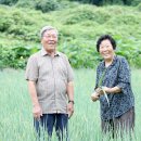 진두마을회관 이미지