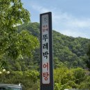 원조할매뚜레박어탕