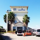 오션트리 이미지