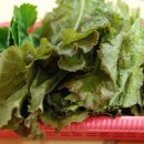 만덕회센타 이미지