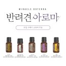 JJ스킨앤바디