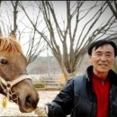 춘천 송암스포츠타운 승마장 이미지