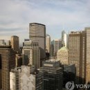 오피스나라 이미지