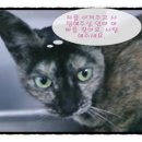 길경진동물병원 이미지