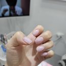 네일두이